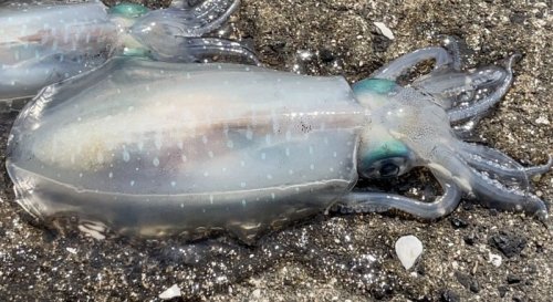 事務所から徒歩20秒の釣場