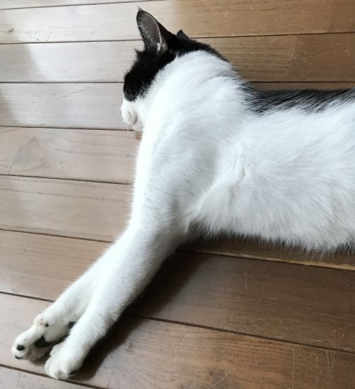 残暑お見舞い申し上げますー