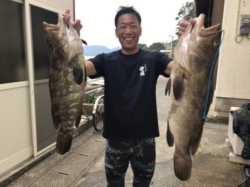 魚が好きです。