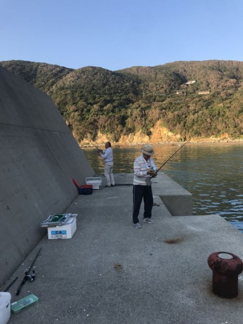 カマス釣り？