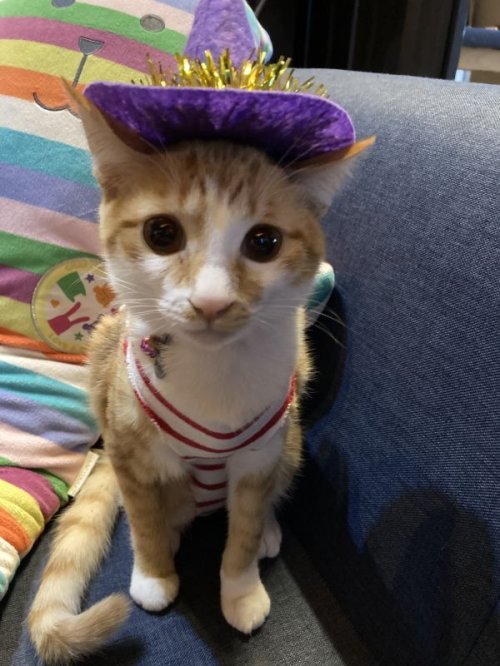 ハロウィン②👻