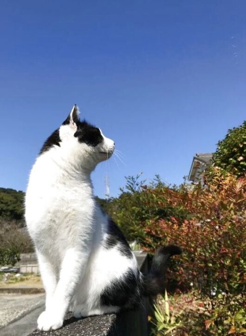 気温差