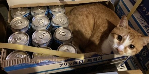 梅雨入り