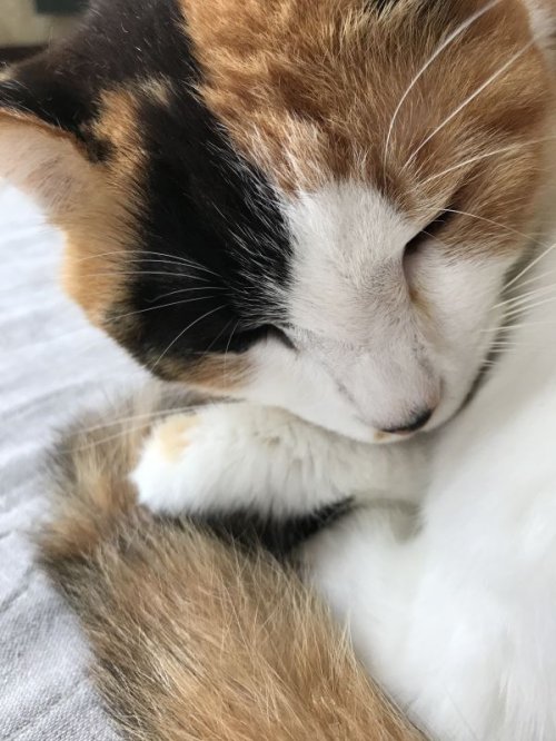 あわいのとき
