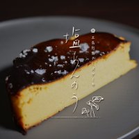 【冷凍】五島列島チーズケーキ「塩あんのう」5号