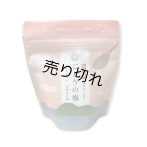 画像1: ごとうの塩（100g）